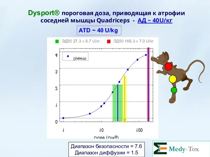 Dysport® пороговая доза, приводящая к атрофии соседней мышцы Quadriceps - АД