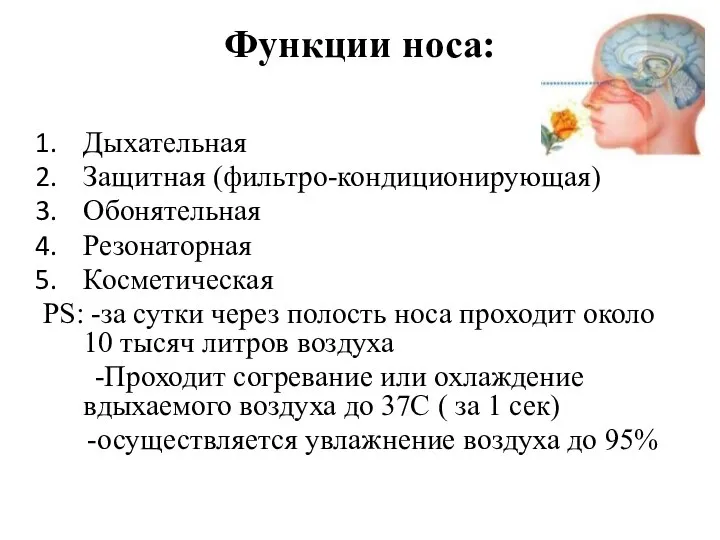 Функции носа: Дыхательная Защитная (фильтро-кондиционирующая) Обонятельная Резонаторная Косметическая PS: -за сутки