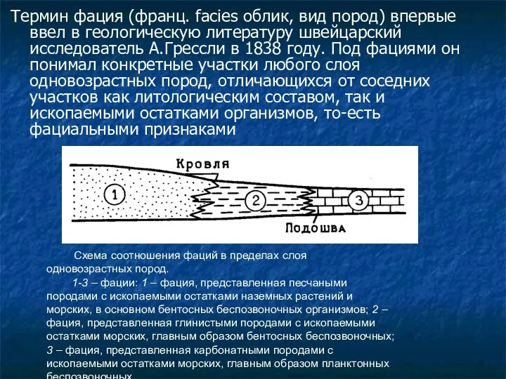 Схема соотношения фаций в пределах слоя одновозрастных пород. 1-3 – фации: