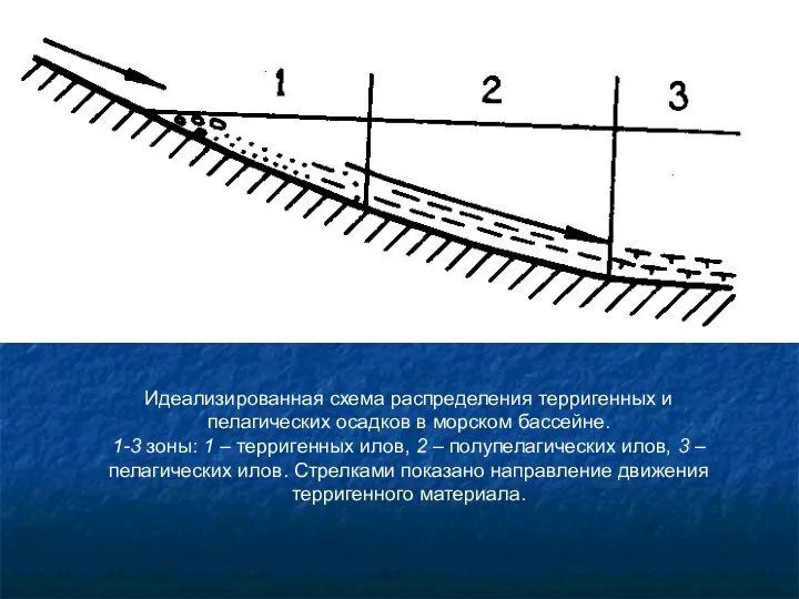 Идеализированная схема распределения терригенных и пелагических осадков в морском бассейне. 1-3