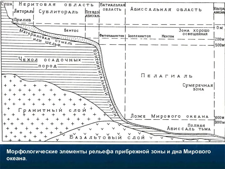 Морфологические элементы рельефа прибрежной зоны и дна Мирового океана.