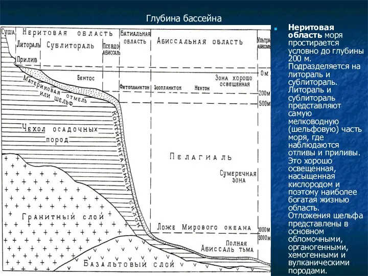 Глубина бассейна Неритовая область моря простирается условно до глубины 200 м.