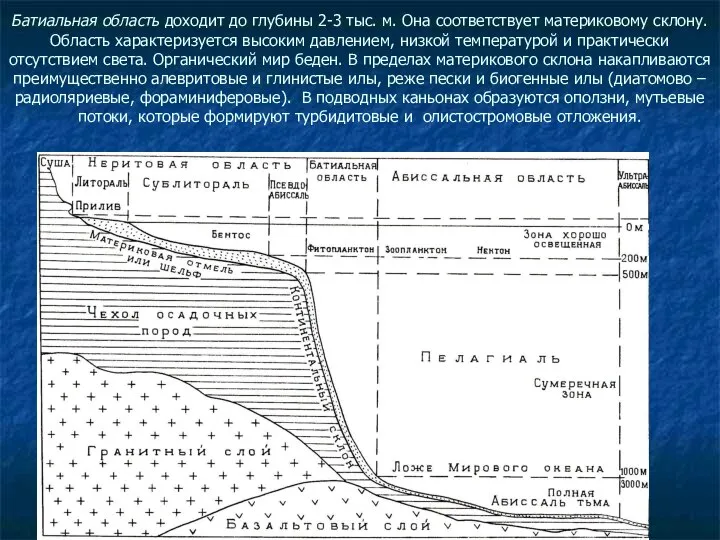 Батиальная область доходит до глубины 2-3 тыс. м. Она соответствует материковому