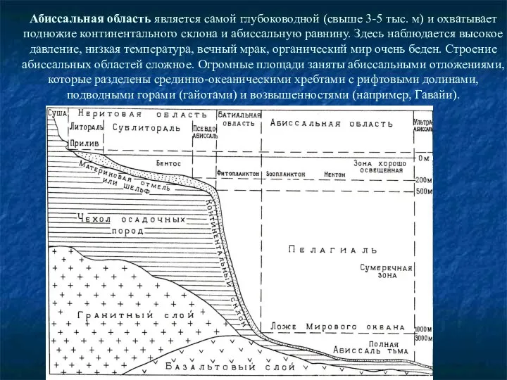 Абиссальная область является самой глубоководной (свыше 3-5 тыс. м) и охватывает