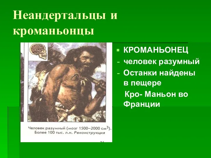 Неандертальцы и кроманьонцы КРОМАНЬОНЕЦ человек разумный Останки найдены в пещере Кро- Маньон во Франции