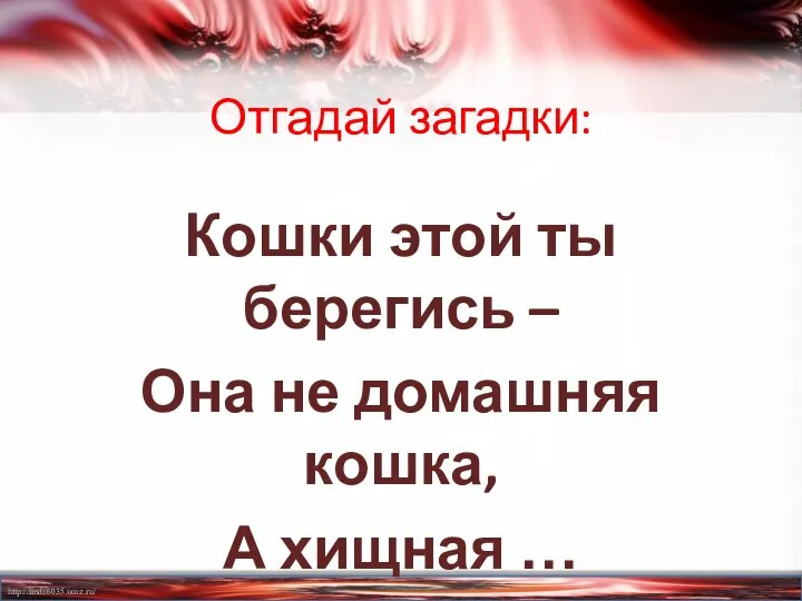 Отгадай загадки: Кошки этой ты берегись – Она не домашняя кошка, А хищная …