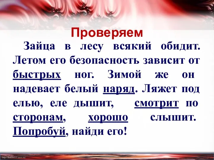 Проверяем Зайца в лесу всякий обидит. Летом его безопасность зависит от