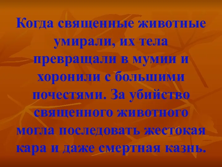 Когда священные животные умирали, их тела превращали в мумии и хоронили