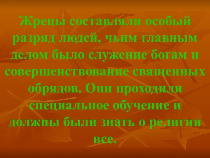 Жрецы составляли особый разряд людей, чьим главным делом было служение богам