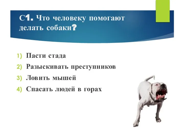 С1. Что человеку помогают делать собаки? Пасти стада Разыскивать преступников Ловить мышей Спасать людей в горах