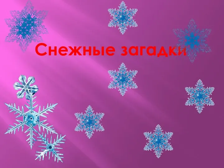 Снежные загадки