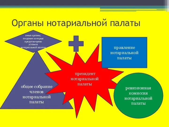 Органы нотариальной палаты общее собрание членов нотариальной палаты президент нотариальной палаты