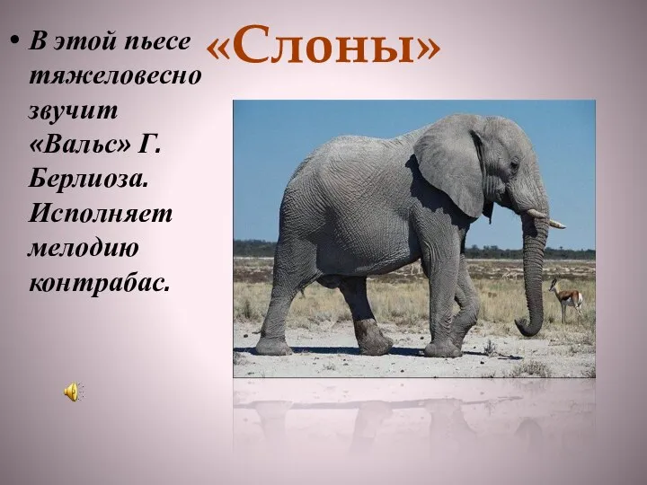 «Слоны» В этой пьесе тяжеловесно звучит «Вальс» Г.Берлиоза. Исполняет мелодию контрабас.