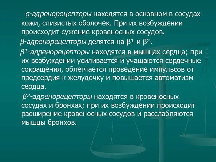 ᾳ-адренорецепторы находятся в основном в сосудах кожи, слизистых оболочек. При их