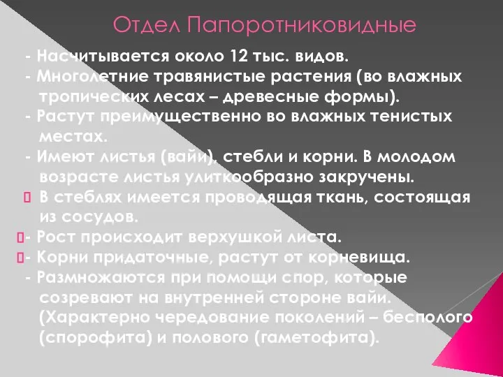 Отдел Папоротниковидные - Насчитывается около 12 тыс. видов. - Многолетние травянистые