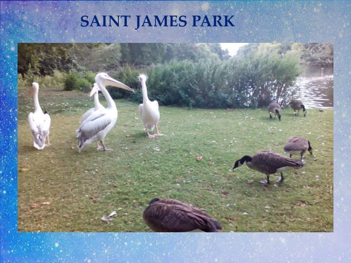 SAINT JAMES PARK