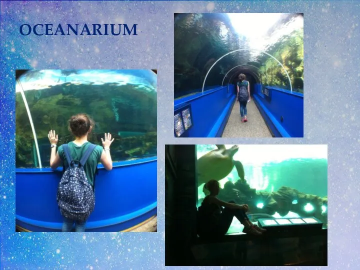 OCEANARIUM