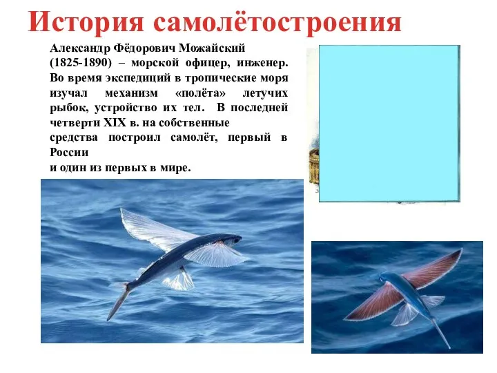 Александр Фёдорович Можайский (1825-1890) – морской офицер, инженер. Во время экспедиций