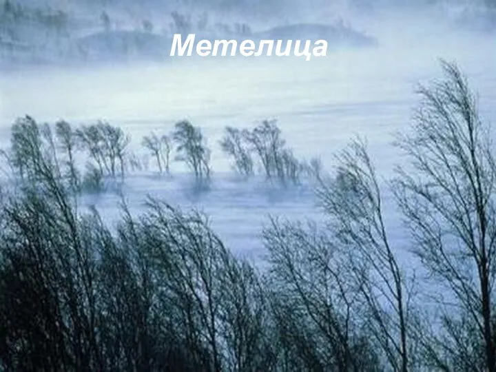 Метелица