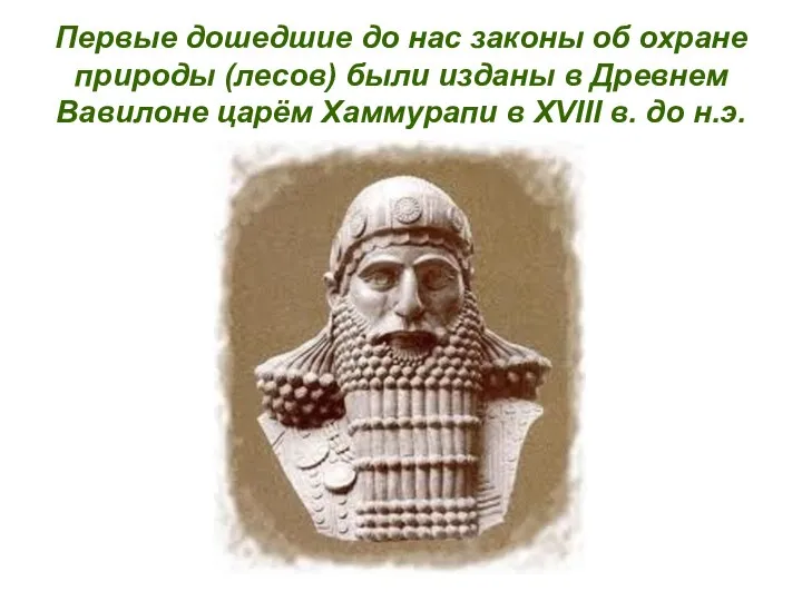 Первые дошедшие до нас законы об охране природы (лесов) были изданы