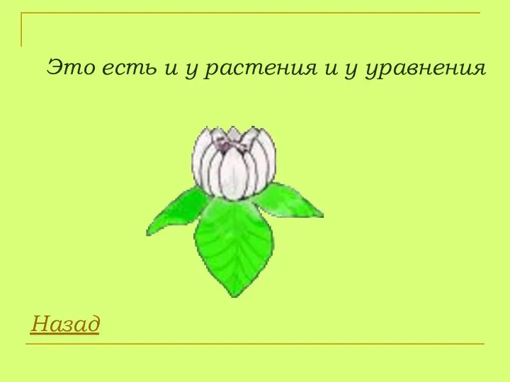 Это есть и у растения и у уравнения Назад