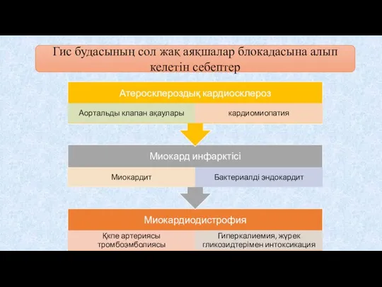 Гис будасының сол жақ аяқшалар блокадасына алып келетін себептер