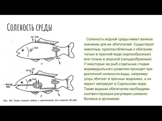 Соленость среды Соленость водной среды имеет важное значение для ее обитателей.