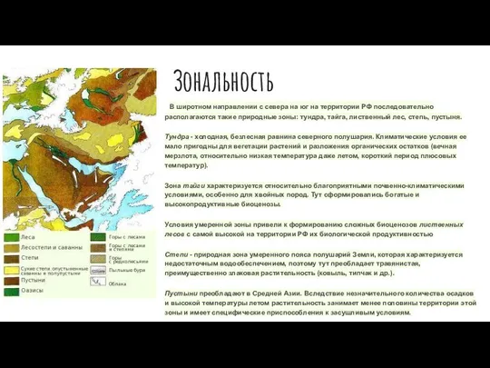 Зональность В широтном направлении с севера на юг на территории РФ