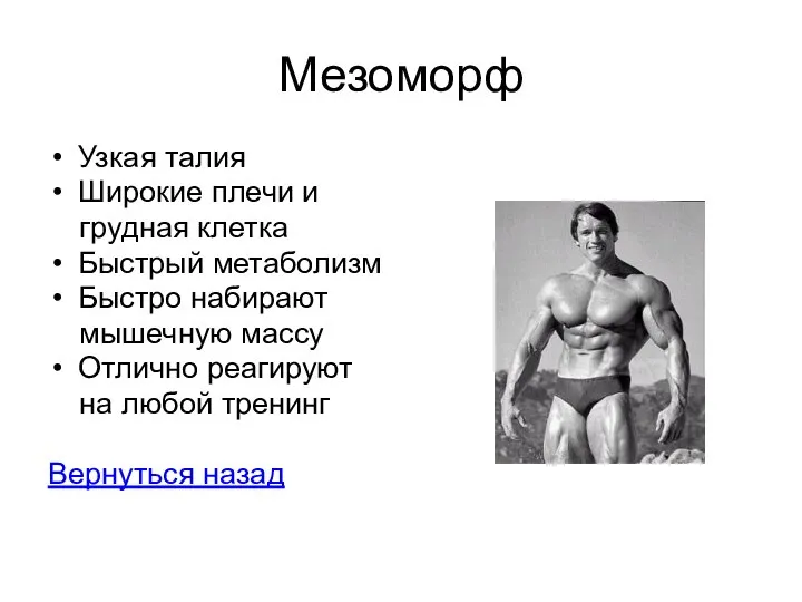 Мезоморф Узкая талия Широкие плечи и грудная клетка Быстрый метаболизм Быстро