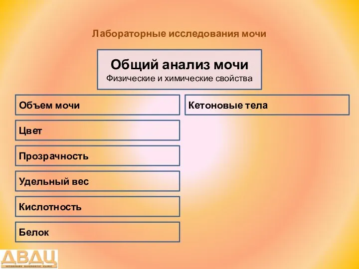 Лабораторные исследования мочи Общий анализ мочи Физические и химические свойства Цвет