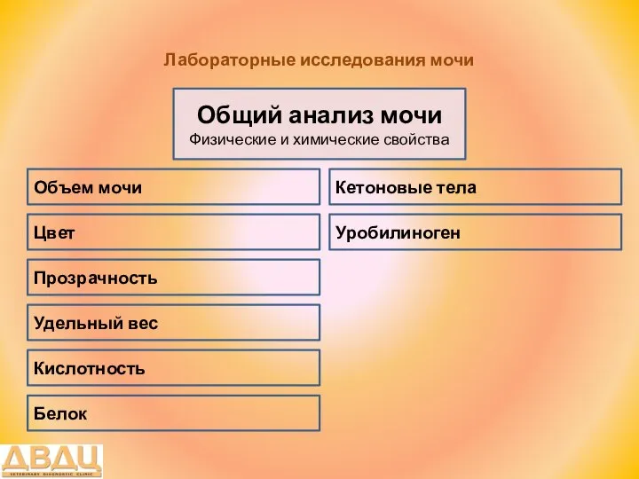 Лабораторные исследования мочи Общий анализ мочи Физические и химические свойства Цвет