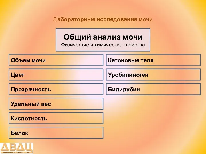 Лабораторные исследования мочи Общий анализ мочи Физические и химические свойства Цвет