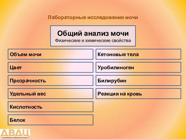 Лабораторные исследования мочи Общий анализ мочи Физические и химические свойства Цвет