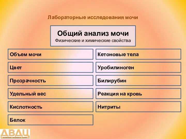 Лабораторные исследования мочи Общий анализ мочи Физические и химические свойства Цвет