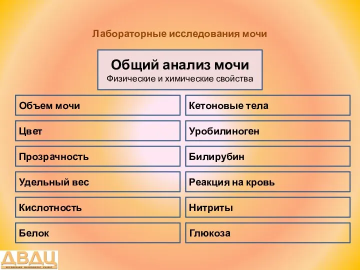 Лабораторные исследования мочи Общий анализ мочи Физические и химические свойства Цвет