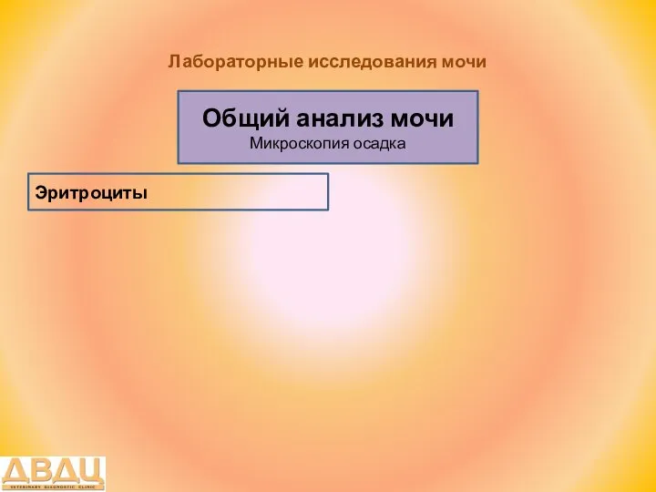 Лабораторные исследования мочи Общий анализ мочи Микроскопия осадка Эритроциты