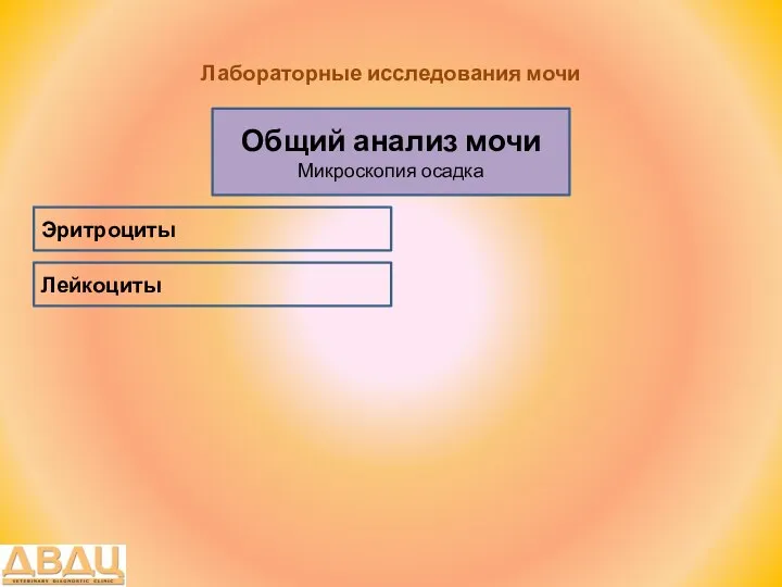 Лабораторные исследования мочи Общий анализ мочи Микроскопия осадка Лейкоциты Эритроциты