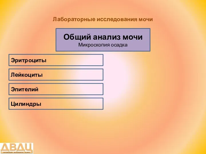 Лабораторные исследования мочи Общий анализ мочи Микроскопия осадка Лейкоциты Эритроциты Эпителий Цилиндры