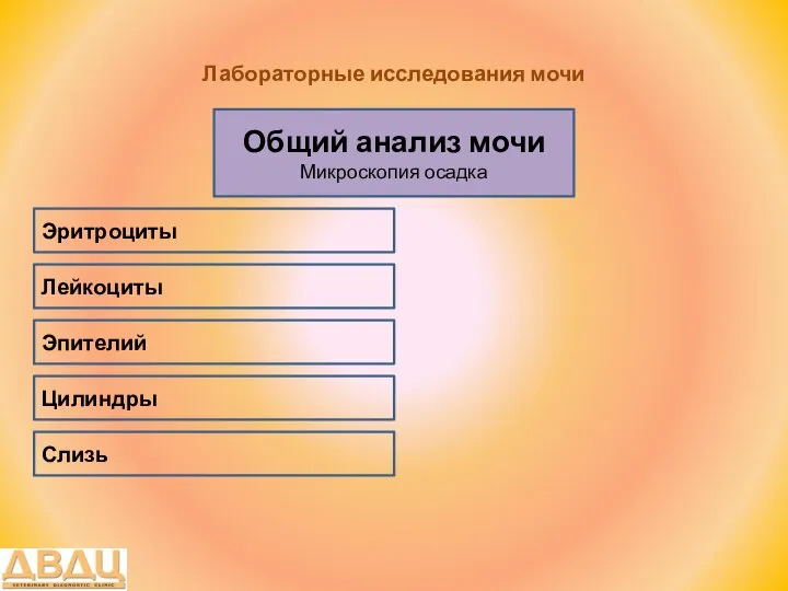 Лабораторные исследования мочи Общий анализ мочи Микроскопия осадка Лейкоциты Эритроциты Эпителий Слизь Цилиндры