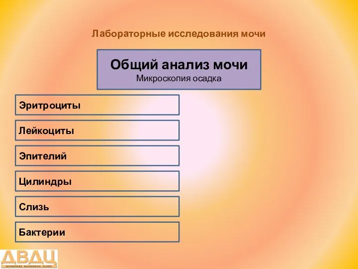 Лабораторные исследования мочи Общий анализ мочи Микроскопия осадка Лейкоциты Эритроциты Эпителий Слизь Цилиндры Бактерии