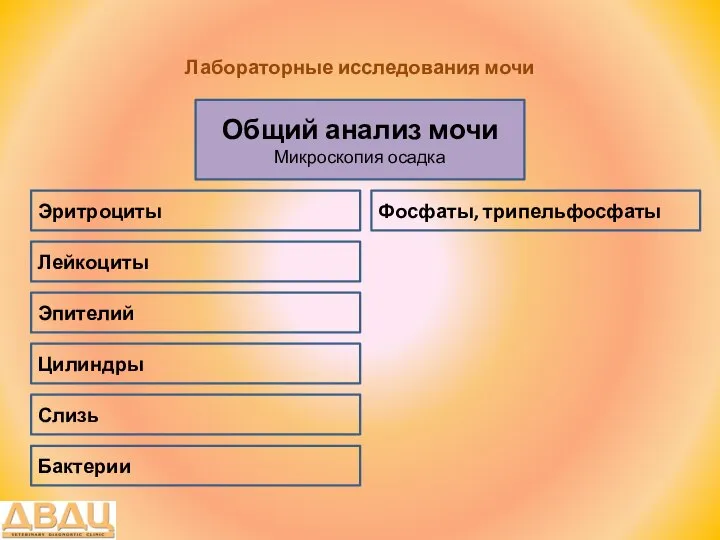 Лабораторные исследования мочи Общий анализ мочи Микроскопия осадка Лейкоциты Эритроциты Эпителий Слизь Цилиндры Фосфаты, трипельфосфаты Бактерии