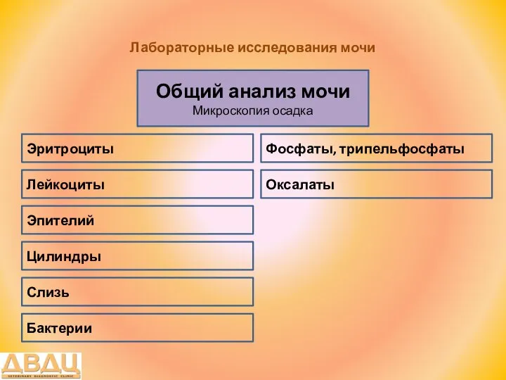 Лабораторные исследования мочи Общий анализ мочи Микроскопия осадка Лейкоциты Эритроциты Оксалаты