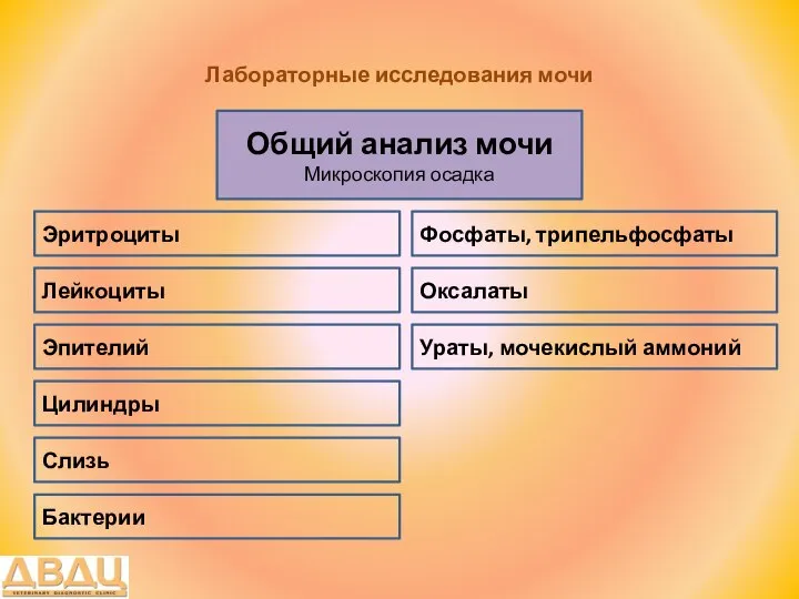 Лабораторные исследования мочи Общий анализ мочи Микроскопия осадка Лейкоциты Эритроциты Ураты,