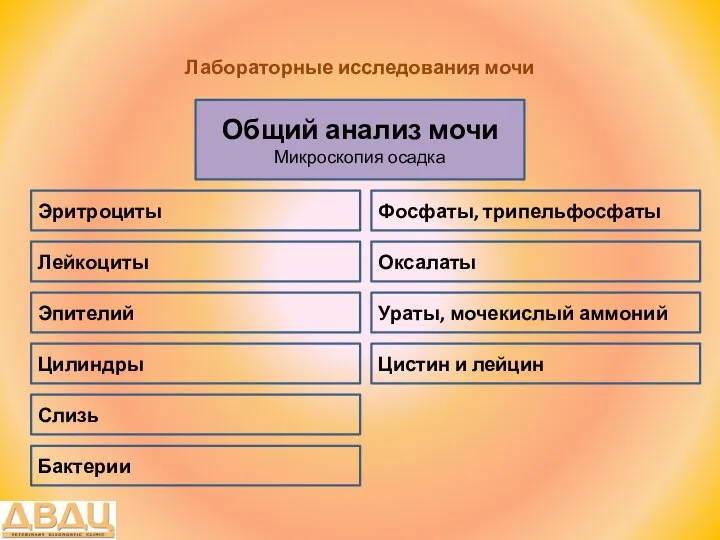 Лабораторные исследования мочи Общий анализ мочи Микроскопия осадка Лейкоциты Эритроциты Ураты,