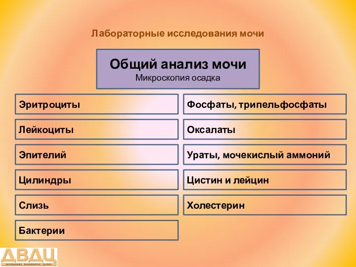 Лабораторные исследования мочи Общий анализ мочи Микроскопия осадка Лейкоциты Эритроциты Ураты,