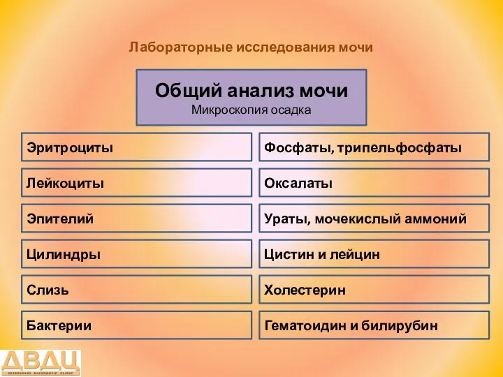 Лабораторные исследования мочи Общий анализ мочи Микроскопия осадка Лейкоциты Эритроциты Ураты,