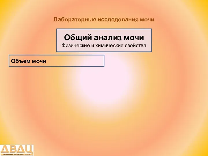 Лабораторные исследования мочи Общий анализ мочи Физические и химические свойства Объем мочи