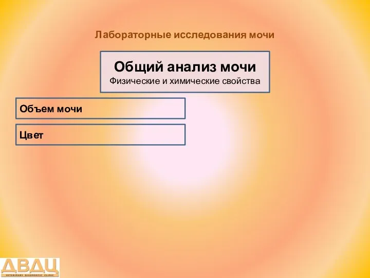 Лабораторные исследования мочи Общий анализ мочи Физические и химические свойства Цвет Объем мочи