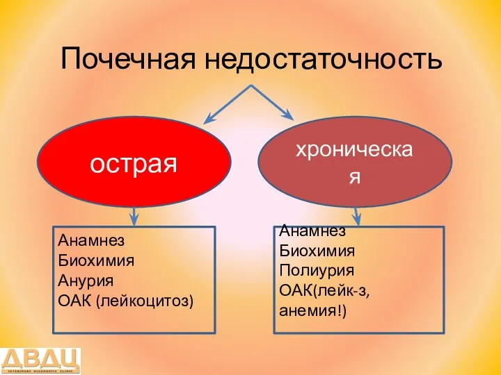 Почечная недостаточность острая хроническая Анамнез Биохимия Анурия ОАК (лейкоцитоз) Анамнез Биохимия Полиурия ОАК(лейк-з, анемия!)