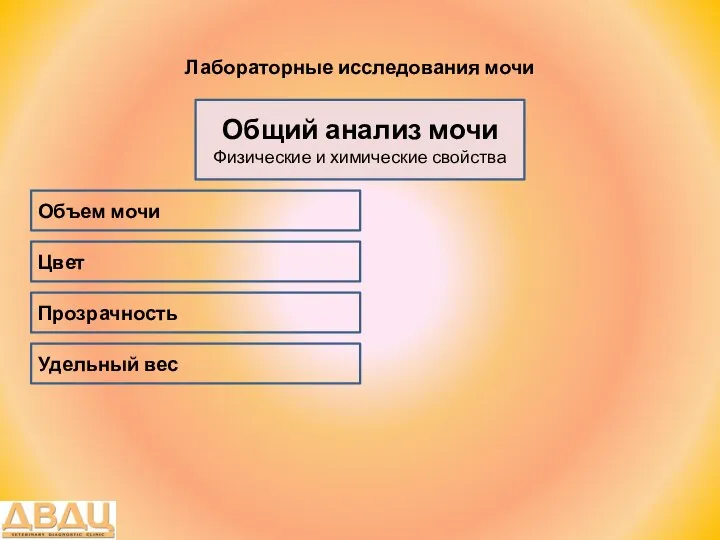 Лабораторные исследования мочи Общий анализ мочи Физические и химические свойства Цвет Объем мочи Прозрачность Удельный вес